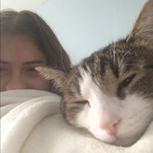 Meet your Posher, Dasha - Picture 1 of 1